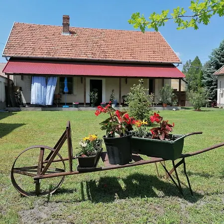 István Vendégház Mórahalom Extérieur photo