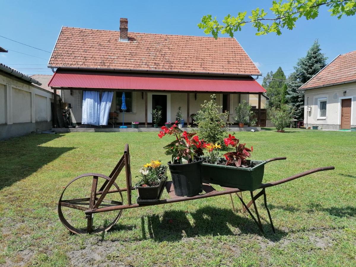 Istvan Vendeghaz Apartment